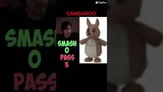 😂 