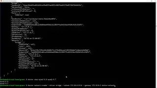 Docker 101: How To Assign Static IP to Docker Containers