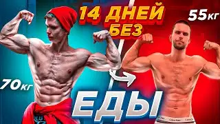 14 ДНЕЙ БЕЗ ЕДЫ! ЧТО СТАЛО С ЭКТОМОРФОМ?
