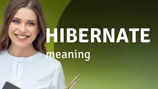 Hibernate • meaning of HIBERNATE