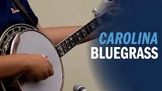 Carolina bluegrass