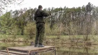 РЫБАЛКА У ДОМА С МОСТКОВ НА ПОПЛАВОК! ХОРОШАЯ ПЛОТВА И ГУСТЕРА ПЕРЕД СНЕГОПАДОМ!