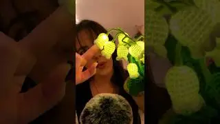 Flower Lamps and Clicky Whispers 🌼 