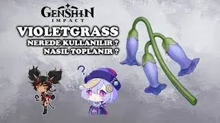 Violetgrass Farming Rehberi | En İyi Violetgrass Rotası | Genshin Impact Türkçe Rehber