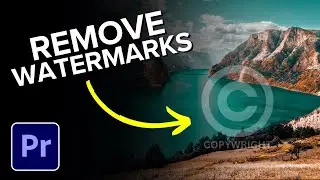 How to Remove Watermark From Video in Premiere Pro