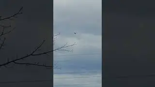 Hunter is out to hunt