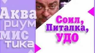 #Аквариумистика. Основные понятия.  Питалка, соил, УДО. #shorts