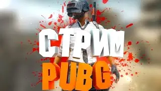 Стрим по PUBG