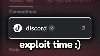 Discord Connections Are Broken...