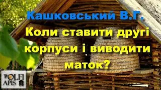 #Кашковський