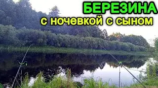 Рыбалка на Березине. Рыбачим с сыном на фидера в сильный ветер. Рыбалка с ночевкой.