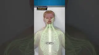 Ловушка для Собственного Мозга 😨