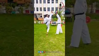 best knock out kit #taekwondo #shortvideo#shorts#short #trending#viral#youtubesh orts#ytshorts