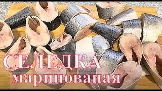 Как мариновать селедку  Селедка маринованная Вкуснейшая маринованная селедка