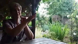 Болталка. Что теперь будет с моим садом?