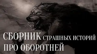 СТРАШНЫЕ ИСТОРИИ НА НОЧЬ / СТРАШНЫЕ ИСТОРИИ ПРО ОБОРОТНЕЙ / СТРАШНЫЕ ИСТОРИИ ПРО ДЕРЕВНЮ