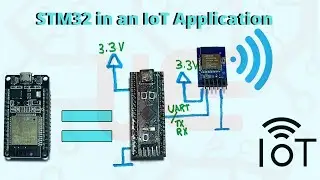 STM32 IoT Application Using Flask Web Server