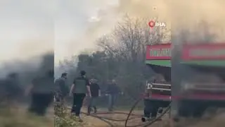 Yalova'da orman yangını