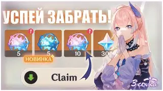 УСПЕЙ ЗАБРАТЬ ДО КОНЦА ПАТЧА 2.4 Genshin Impact