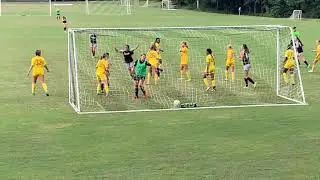 Alison Thomas Highlights