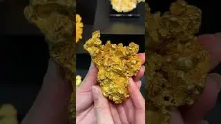 Золото (Gold). Золотые кристаллы со всего мира (Gold Crystals from Around the World).