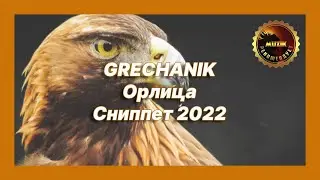 🎧 Новая песня GRECHANIK - Орлица (Сниппет 2022)