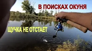 ЛОВЛЯ ХИЩНИКА НА СПИННИНГ ОСЕНЬЮ