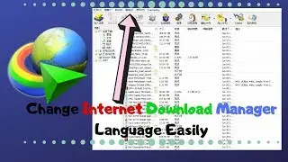 CHANGE INTERNET DOWNLOAD MANAGER LANGUAGE EASILY.