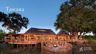 Tawana | Moremi Game Reserve | Botswana