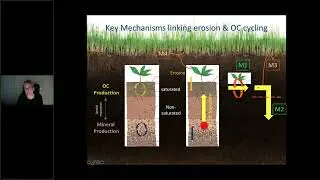 What is the role of erosion in soil carbon sequestration?