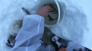 Самоловки на щуку зимой/ Один на избе. ЧАСТЬ 2 