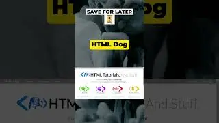 Master HTML with Ease: Top 10 Trending Websites for Ultimate Learning! 