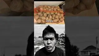 20 kg…