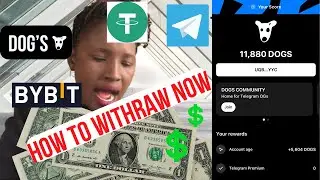 How To Withdraw TELEGRAM DOGS To Bybit Account step-by-step tutorial.