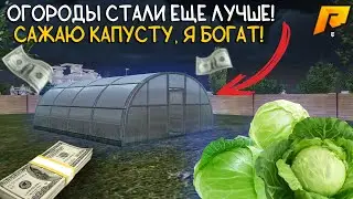 ОГОРОДЫ СТАЛИ ЕЩЕ ЛУЧШЕ! САЖАЮ КАПУСТУ И ЛУТАЮ ДЕНЬГИ | СДАЛ ОГОРОДЫ В АРЕНДУ | Radmir / Hassle