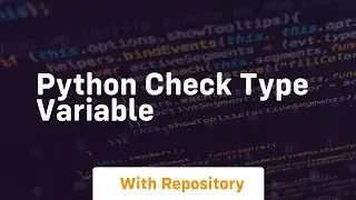 python check type variable