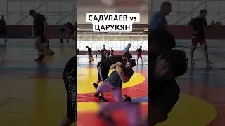 🤼‍♂️Садулаев тренирует Царукяна к реваншу против Махачева! #мма #ufc