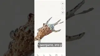 ОЧЕНЬ ПРОСТО! 3д сканирование телефоном!3Д сканирование и создание 3д модели Polycam