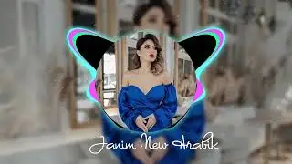 Janim Arabic Remix 2024 | A Fusion of Tradition and Modern Beats