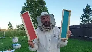 Трёхматочное пчеловодство /ставлю общий магазин с экспериментальной цветной вощиной