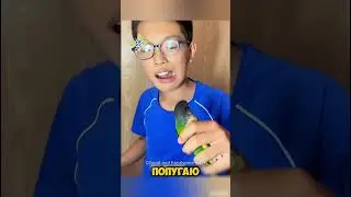 Этот маленький попугай умеет вырывать зубы! 