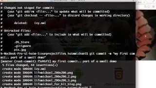 The git commit Command