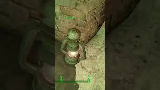 Thr dog didn't like that #dog #gaming #fallout #thisishowyoudontplay