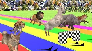 Epic Animal Race, Horse, Lion, Hound, Jaguar, Fox, Rhino, Coyote | Roar Race