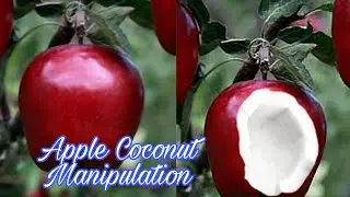 Apple Coconut  Manipulation in Photoshop#photoshoptutorial