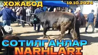 АНДИЖОН ХОЖАБОД СОТИЛГАНЛАР НАРХЛАРИ 19.10.2024