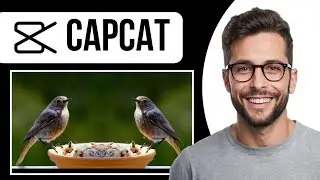 How To Clone An Object In Capcut