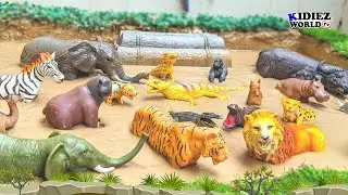 Learn Jungle Animals the EASY Way with Lion, Fox, Elephant & More!