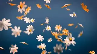 Floral video background-Copyright Free