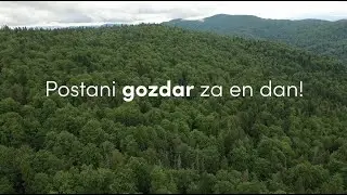 Postani gozdar za en dan!